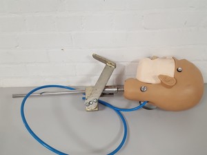 Thumbnail image of KaVo EWL Dental Patient Head Simulator & Desk Mount Lab Training
