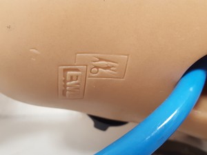 Thumbnail image of KaVo EWL Dental Patient Head Simulator & Desk Mount Lab Training