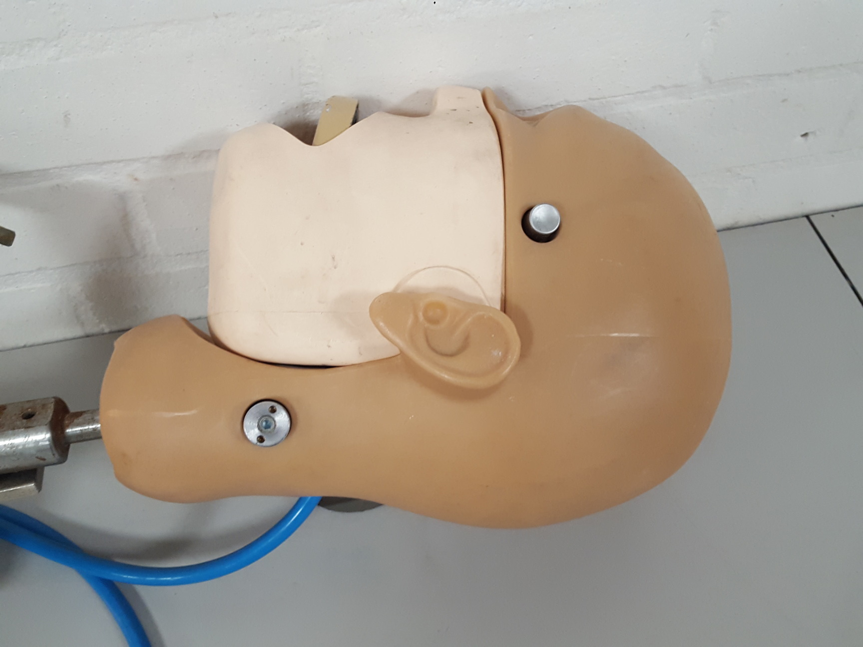 Image of KaVo EWL Dental Patient Head Simulator & Desk Mount Lab Training