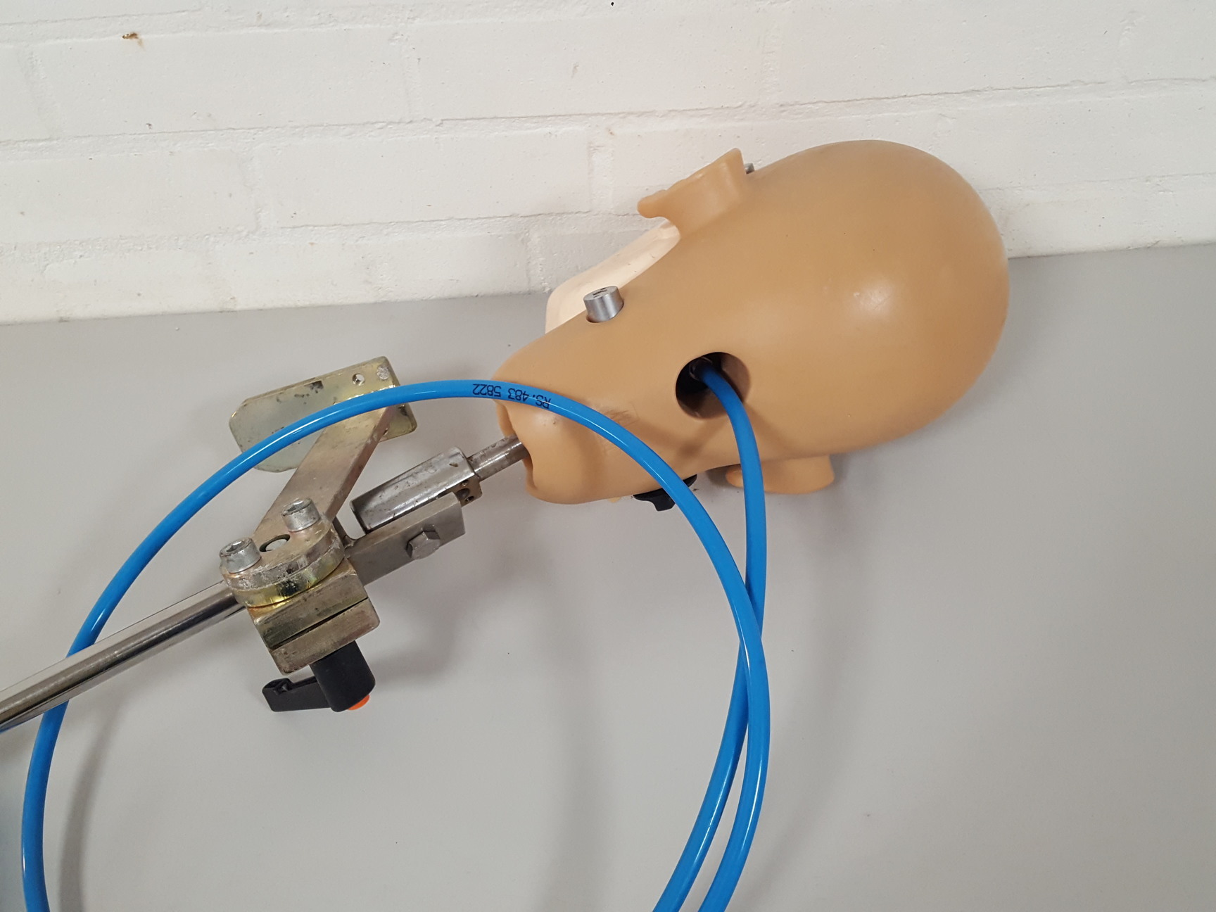 Image of KaVo EWL Dental Patient Head Simulator & Desk Mount Lab Training