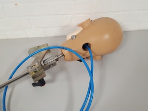 Thumbnail image of KaVo EWL Dental Patient Head Simulator & Desk Mount Lab Training