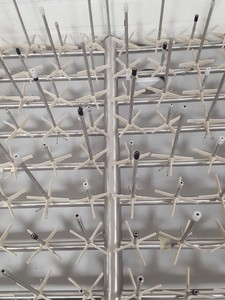 Thumbnail image of Large Lab Lancer Glasswasher Rack Lab 1600UP