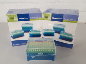 Thumbnail image of Fisherbrand Sureone Beveled Point Graduated Pipet Tips 1-200uL 02-707-417