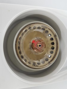 Thumbnail image of Thermo Scientific Heraeus Pico 17 Microcentrifuge Lab - Spares / Repairs