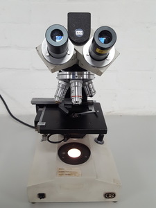 Thumbnail image of GS Series 10 Binocular Microscope + 4x Objectives 100/1.30, 10/0.28, Lab