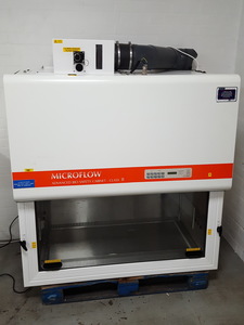 Image of item