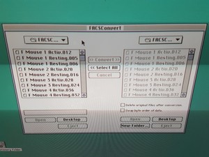 Thumbnail image of Becton Dickinson FACSCalibur Flow Cytometer System 1997 Lab