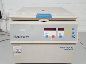 Image of item