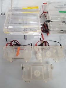 Thumbnail image of 14 x Gel Electrophoresis Apparatus Bio-Rad Midicell EC350, Sub-Cell Model 192, 