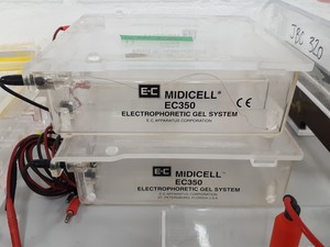 Thumbnail image of 14 x Gel Electrophoresis Apparatus Bio-Rad Midicell EC350, Sub-Cell Model 192, 