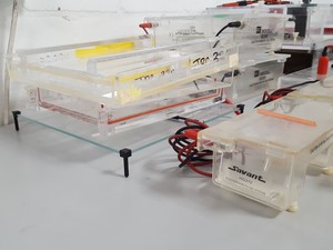 Thumbnail image of 14 x Gel Electrophoresis Apparatus Bio-Rad Midicell EC350, Sub-Cell Model 192, 