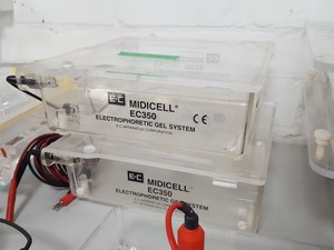 Thumbnail image of 14 x Gel Electrophoresis Apparatus Bio-Rad Midicell EC350, Sub-Cell Model 192, 