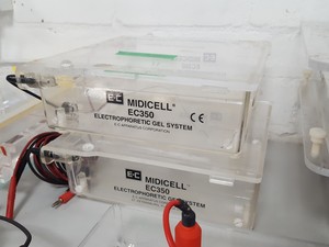 Thumbnail image of 14 x Gel Electrophoresis Apparatus Bio-Rad Midicell EC350, Sub-Cell Model 192,