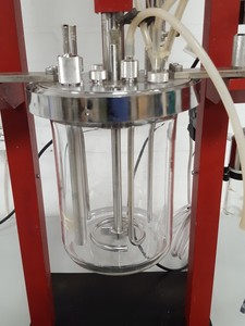 Thumbnail image of Electrolab Fermentation / Bioreactor System, 300 Stirrer Control, 351, 270 Pump