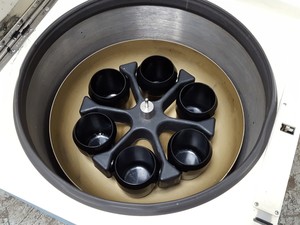 Thumbnail image of Beckman Coulter Model J-6M Induction Drive Ultracentrifuge Bucket Rotor Lab