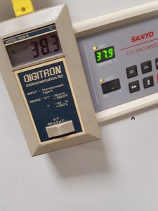 Image of item