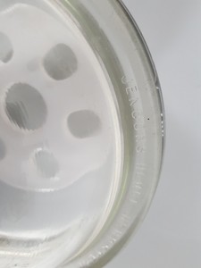 Thumbnail image of 5 x Multi-Branded Mixed Glass Desiccators Dry Seal Jencons Lab