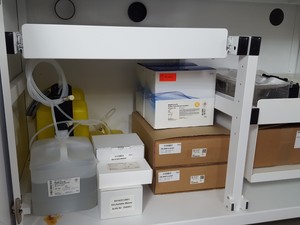 Thumbnail image of Roche MagNA Pure 96 & Hamilton FLOW PCR System Lab Nucleic Extraction & Handling