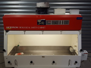 Image of item