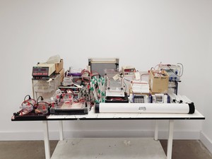 Thumbnail image of Gel Electrophoresis Job Lot - Tanks, Power Supplies, Accessories Lab