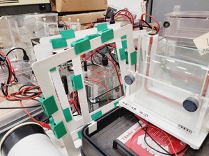 Thumbnail image of Gel Electrophoresis Job Lot - Tanks, Power Supplies, Accessories Lab