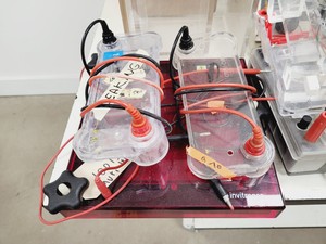 Thumbnail image of Gel Electrophoresis Job Lot - Tanks, Power Supplies, Accessories Lab