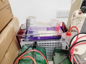 Thumbnail image of Gel Electrophoresis Job Lot - Tanks, Power Supplies, Accessories Lab