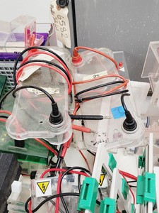 Thumbnail image of Gel Electrophoresis Job Lot - Tanks, Power Supplies, Accessories Lab