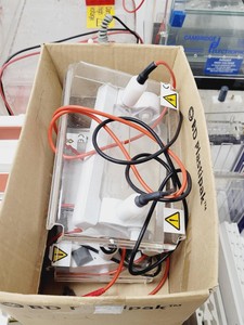 Thumbnail image of Gel Electrophoresis Job Lot - Tanks, Power Supplies, Accessories Lab