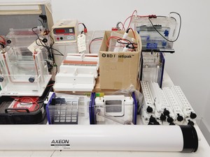 Thumbnail image of Gel Electrophoresis Job Lot - Tanks, Power Supplies, Accessories Lab