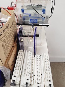 Thumbnail image of Gel Electrophoresis Job Lot - Tanks, Power Supplies, Accessories Lab