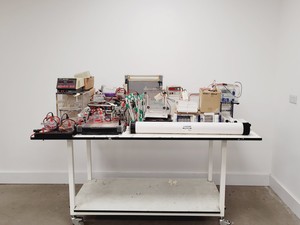 Thumbnail image of Gel Electrophoresis Job Lot - Tanks, Power Supplies, Accessories Lab