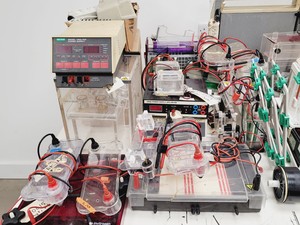 Thumbnail image of Gel Electrophoresis Job Lot - Tanks, Power Supplies, Accessories Lab