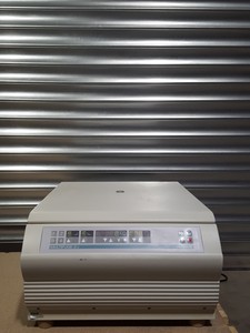 Image of item