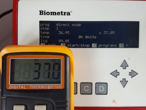 Image of item