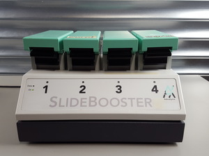 Image of item
