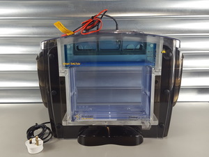 Image of item