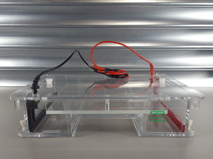 Image of item
