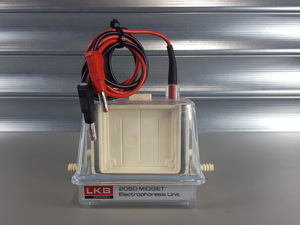 Image of item