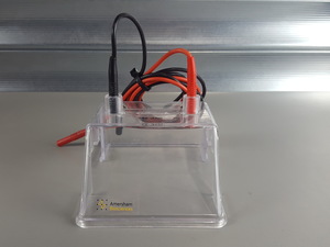 Image of item