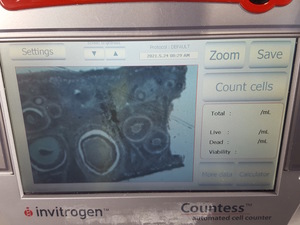 Thumbnail image of Invitrogen C10281 Countess Automated Cell Counter Lab