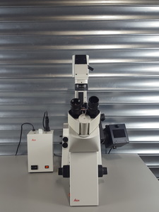 Image of item
