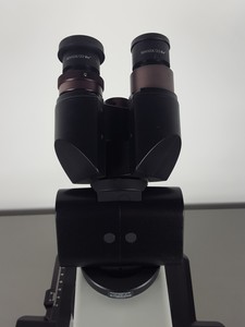 Thumbnail image of Olympus BX41 Phase Contrast & Darkfield Microscope Lab BX41TF + 3 Objectives