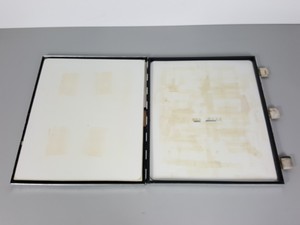 Thumbnail image of Lot of 3 Kodak X-Ray Imaging Cassettes 30 x 37.5cm Lab