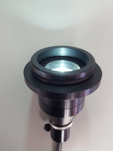 Image of item