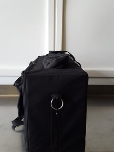 Thumbnail image of Pair of Dexel Lighting Carry Bags