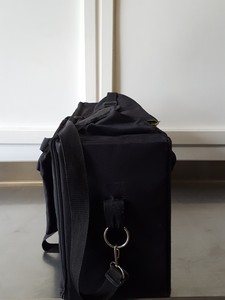 Thumbnail image of Pair of Dexel Lighting Carry Bags
