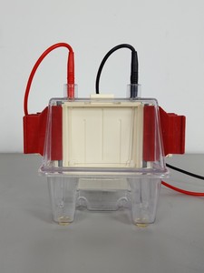 Thumbnail image of Hoefer Mighty Small II Mini Vertical Electrophoresis Systems Lab