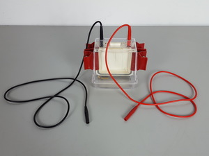 Image of item