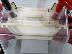 Thumbnail image of Hoefer SE250 Mighty Small II Mini Vertical Protein Gel Electrophoresis & Manual
